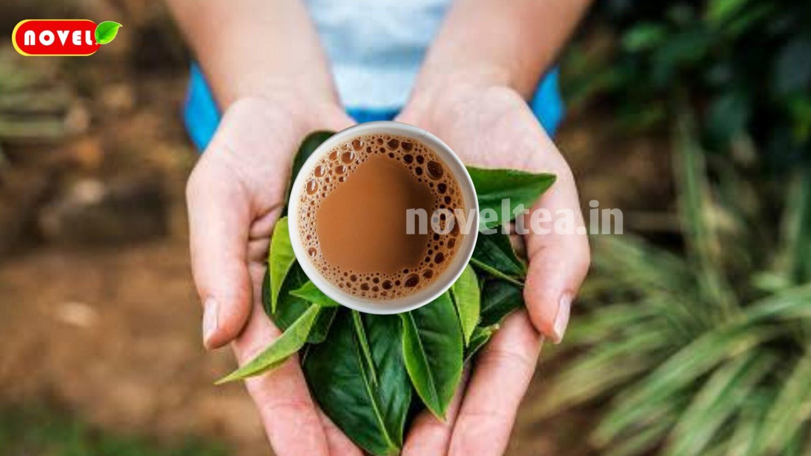 Tea Beverage